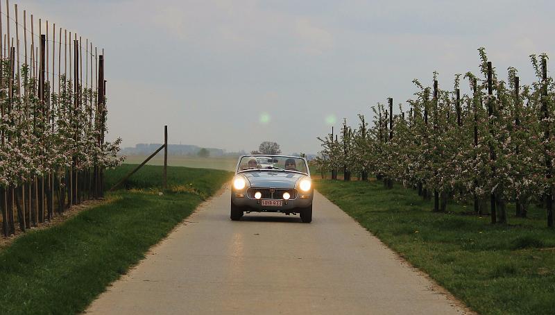 Follow the leader op 13-4-2014 org. Jos & Marie-lou (37).JPG